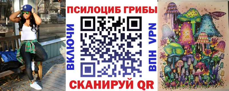 Галлюциногенные грибы Cubensis  наркота  Пугачёв 